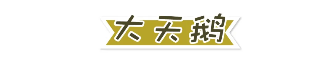 ϡ<a href=http://m.vipzug.cn/multilanguage/Russian/ target=_blank class=infotextkey></a>ֲᣬϡ֪