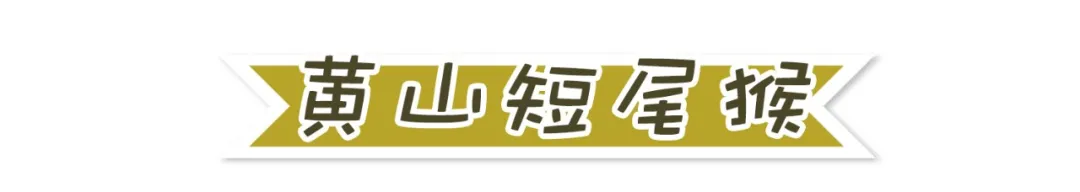 ϡ<a href=http://m.vipzug.cn/multilanguage/Russian/ target=_blank class=infotextkey></a>ֲϡ֪