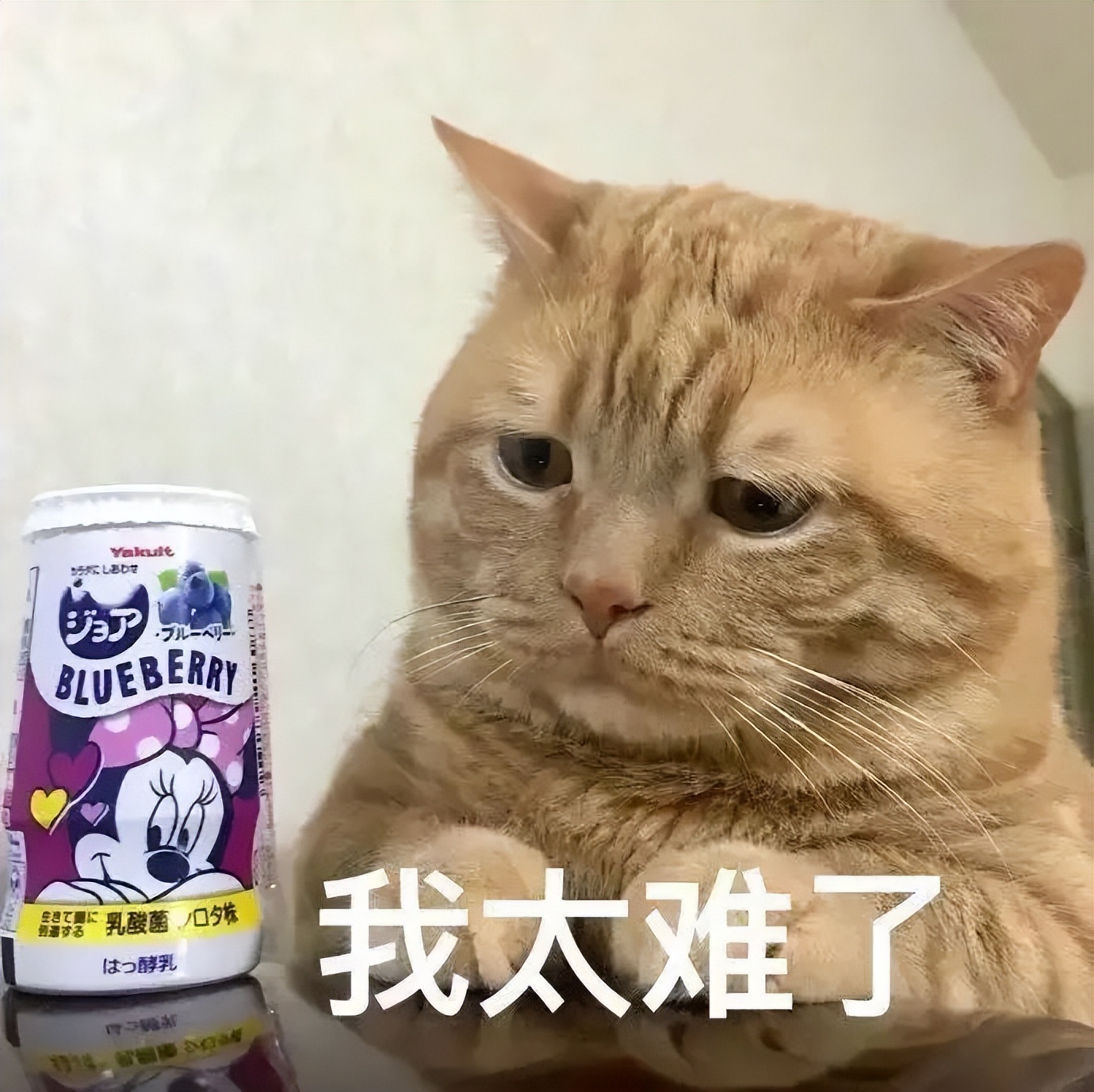 CBMѺи߿“֡”ôд
