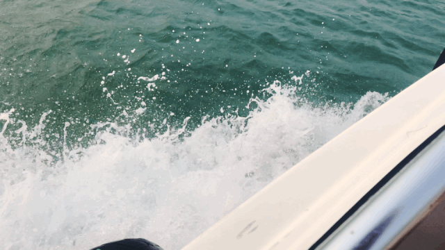 640.gif