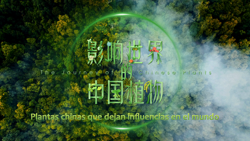 ֽǶȿйЩּ¼Ƭ㶼