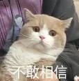 TIMͼ20190402090918.jpg