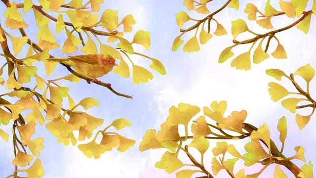ʮһ | ޶ѱ