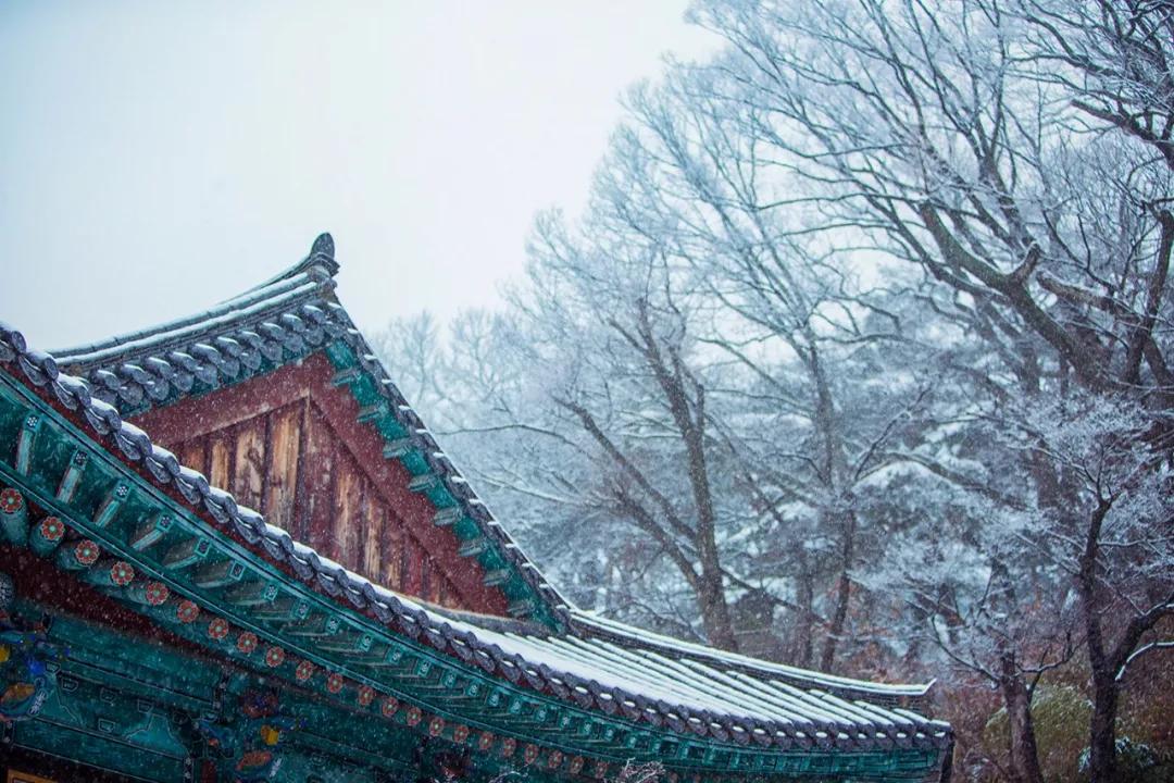 &캮ůƬ¼ºͶĹ°