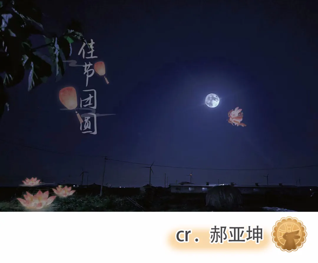 ʮʮԲǹ濾