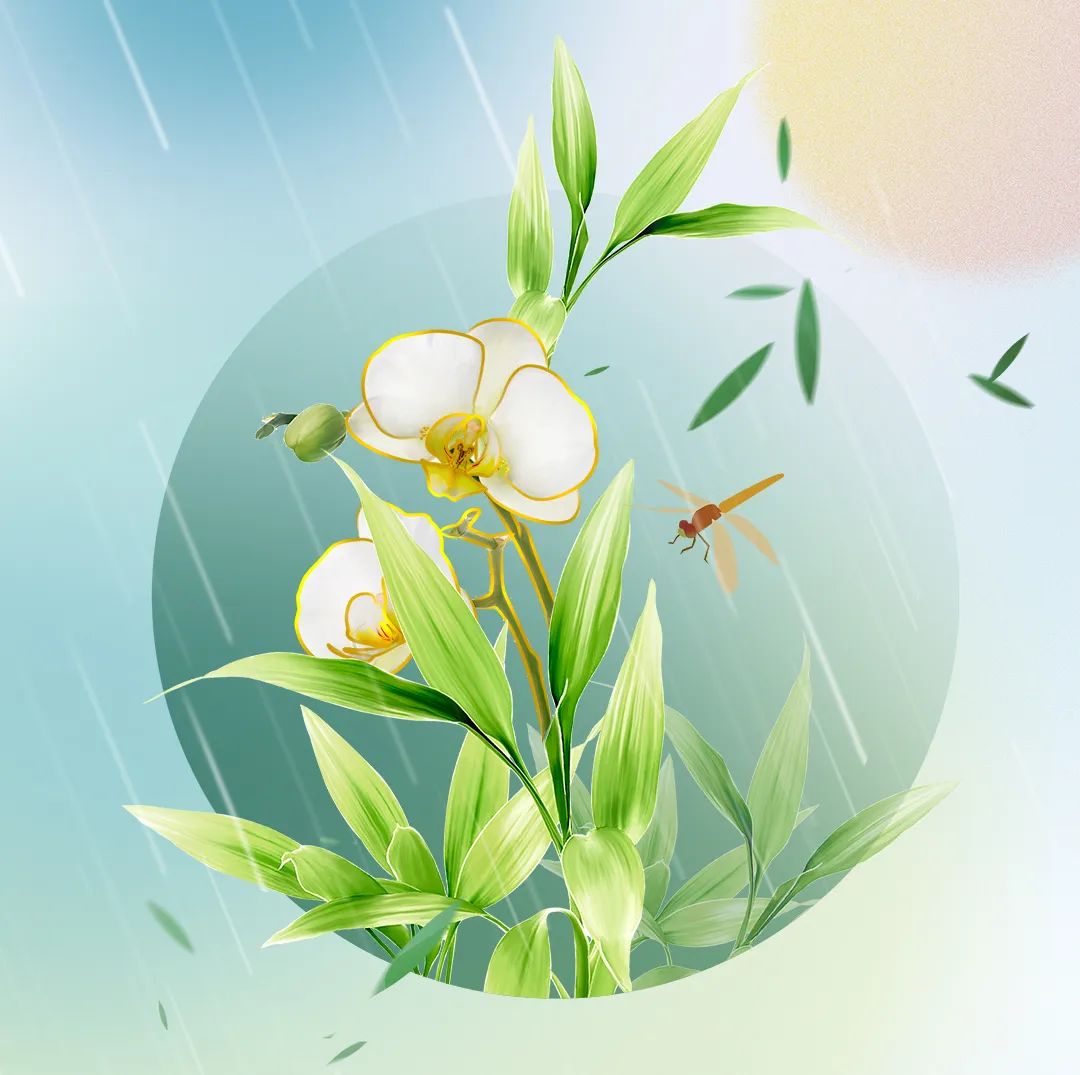 չ | һЩϰ˽